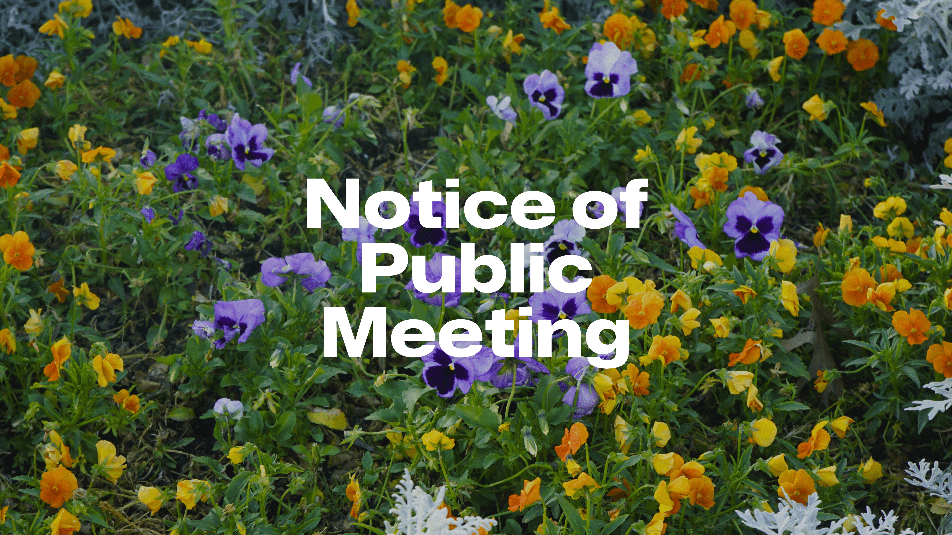 NoticeOfPublicMeeting